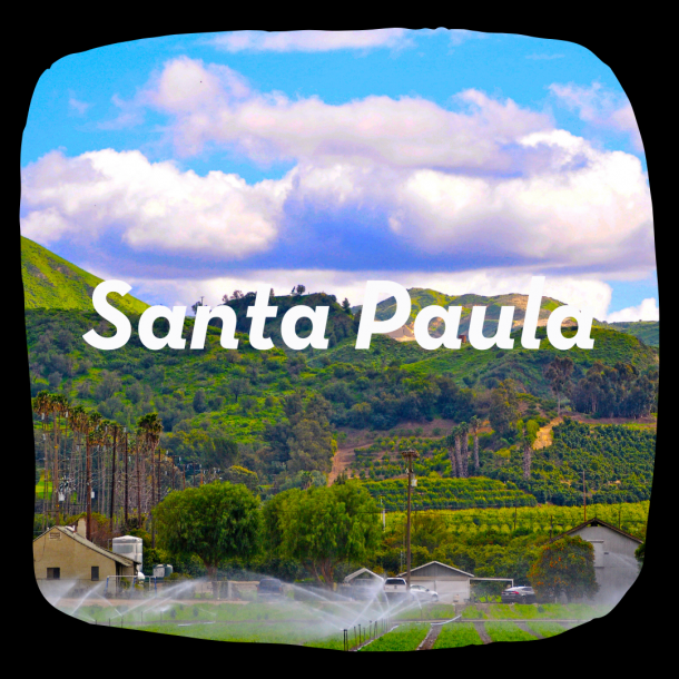 Santa Paula Altos Report